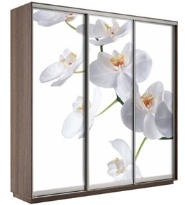 Шкаф 3-х створчатый Экспресс 2100х600х2200, Орхидея белая/шимо темный в Абакане