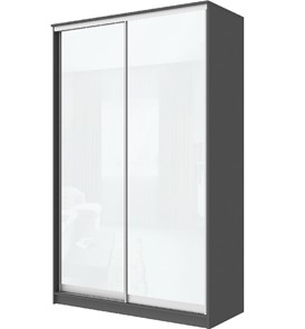 Шкаф 2-х дверный Хит-22-4-12/2-22 с цветным стеклом, белое №10, Графит в Абакане