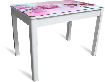 Кухонный обеденный стол Айсберг-08 СТФ, белое лдсп/орхидея/40 прямые массив белые в Абакане