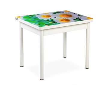 Кухонный пристенный стол СПА-01 СТФ, белый/фотопечать ромашки/опоры прямые белые в Абакане
