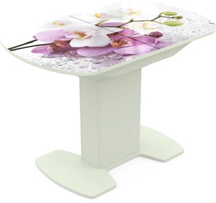Обеденный раздвижной стол Корсика исп. 1 Фотопечать (Цветы №44) 1100(1415)*700 в Абакане