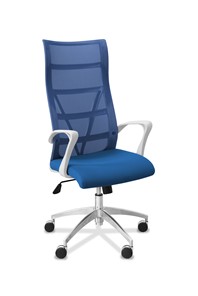 Офисное кресло для руководителя Топ X белый каркас, сетка/ткань TW / синяя/голубая в Абакане
