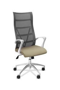 Кресло для руководителя Топ X белый каркас, сетка/ткань TW / серая/светло-серая в Абакане