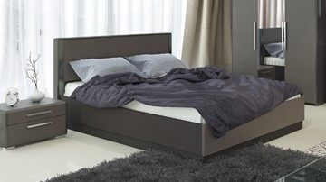 Кровать с механизмом двуспальная Наоми 1600, цвет Фон серый, Джут СМ-208.01.02 в Абакане