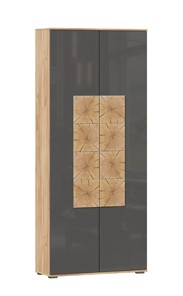 Шкаф двухстворчатый Фиджи с декоративными накладками 659.310, Дуб Золотой/Антрацит в Абакане