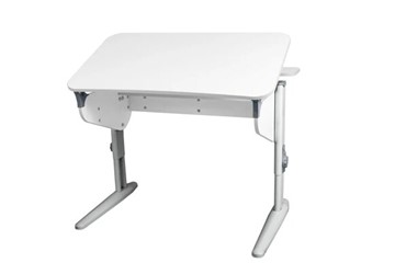 Детский стол-трансформер 5/100 (СУТ.46) + Polka_z 5/500 (2 шт) Рамух белый/серый/серый в Абакане