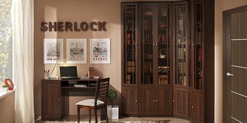 Модульная библиотека Sherlock №4 в Абакане