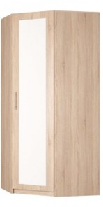 Распашной шкаф угловой Реал (YR-230х1034 (3)-М Вар.1), с зеркалом в Абакане - предосмотр