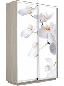 Шкаф-купе Экспресс 1600x450x2200, Орхидея белая/шимо светлый в Абакане