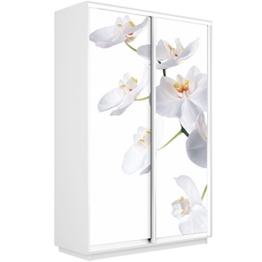 Шкаф Экспресс 1600x450x2400, Орхидея белая/белый снег в Абакане - предосмотр