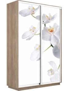 Шкаф Экспресс 1600x450x2400, Орхидея белая/дуб сонома в Абакане