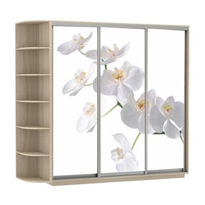 Шкаф 3-х дверный Экспресс со стеллажом, 2400х600х2200, Орхидея белая/шимо светлый в Абакане