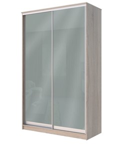Шкаф 2-х створчатый Хит-22-12-22 с цветным стеклом, средне-серый 074, Дуб сонома в Абакане