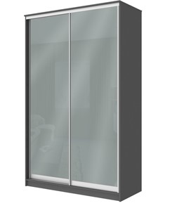Шкаф 2-х дверный Хит-22-12/2-22 с цветным стеклом, средне-серый 074, Графит в Абакане