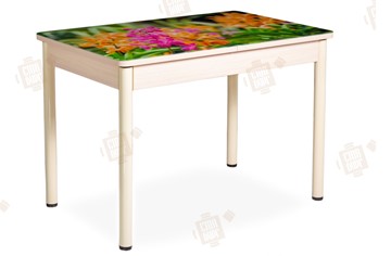 Кухонный раскладной стол Айсберг-02 СТФ, Дуб ЛДСП/полевые цветы/ноги крашеные в Абакане