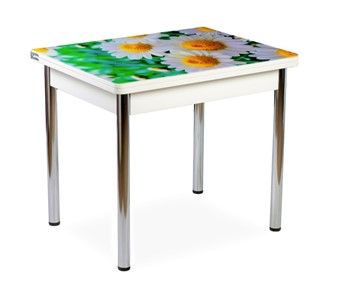 Кухонный пристенный стол СПА-01 СТФ, белый/фотопечать ромашки/опоры прямые хром в Абакане