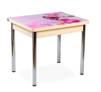 Кухонный пристенный стол СПА-02 СТФ, молочный дуб/фотопечать орхидея/опоры хром в Абакане