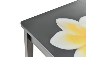 Кухонный стол раскладной Гамбург исп.1 ноги метал. крашеные №23, Фотопечать (Текстура №34) в Абакане - предосмотр 8