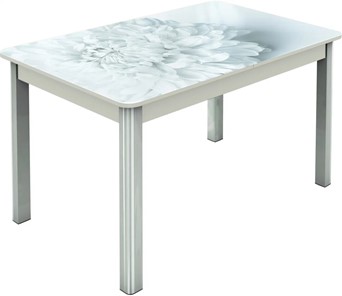 Обеденный раздвижной стол Гамбург исп.2 ноги метал. крашеные №23, Фотопечать (Цветы №27) в Абакане