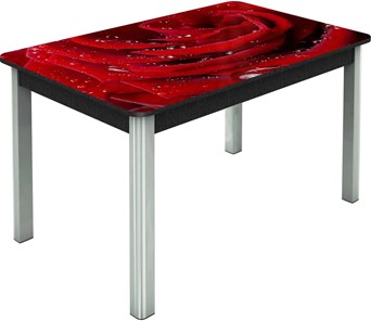 Обеденный раздвижной стол Гамбург исп.2 ноги метал. крашеные №23, Фотопечать (Цветы №39) в Абакане
