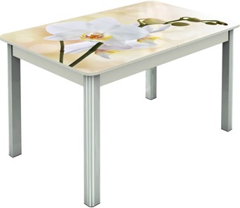 Кухонный раскладной стол Гамбург исп.2 ноги метал. крашеные №23, Фотопечать (Цветы №5) в Абакане