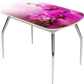 Обеденный раздвижной стол Ривьера исп.1 ноги метал. крашеные №24 Фотопечать (Цветы №16) в Абакане