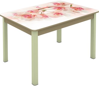 Обеденный стол Мюнхен исп. 1 ноги метал. крашеные №23 Фотопечать (Цветы №10) в Абакане