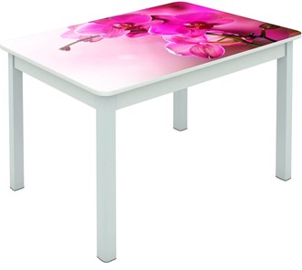 Обеденный стол Мюнхен исп. 1 ноги метал. крашеные №23 Фотопечать (Цветы №16) в Абакане