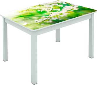 Обеденный стол Мюнхен исп. 1 ноги метал. крашеные №23 Фотопечать (Цветы №45) в Абакане