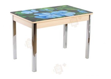 Кухонный стол раздвижной Айсберг-01 СТФ, дуб/фотопечать фиалка/ноги хром квадратные в Абакане