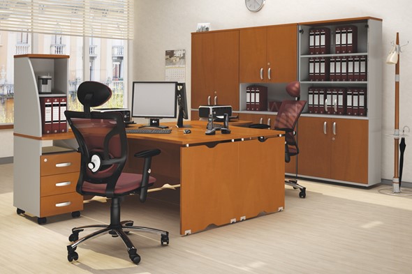 Офисный набор мебели Милан для 2 сотрудников с тумбочками и большим шкафом в Абакане - изображение