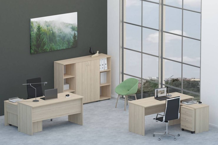 Офисный комплект мебели Twin для 2 сотрудников со шкафом для документов в Абакане - изображение