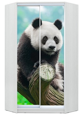 Шкаф угловой Хит-У-24-4-77-29, Панда, Белый в Абакане - изображение