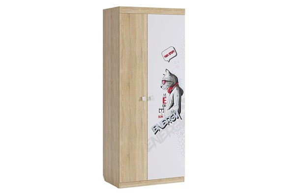 Распашной шкаф Энерджи, двухстворчатый в Абакане - изображение