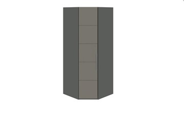 Распашной шкаф угловой Наоми, цвет Фон серый, Джут СМ-208.07.06 в Абакане