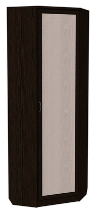 Шкаф распашной 402 угловой со штангой, цвет Венге в Абакане - изображение
