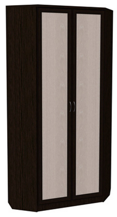 Шкаф распашной 401 угловой со штангой, цвет Венге в Абакане - изображение