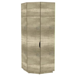 Шкаф распашной Аврора (H33) 2322х854х854, Дуб Каньон Монумент в Абакане