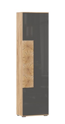 Шкаф одностворчатый Фиджи с декоративными накладками 659.300, Дуб Золотой/Антрацит в Абакане - изображение
