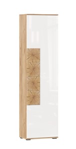 Шкаф одностворчатый Фиджи с декоративными накладками 659.300, Дуб Золотой/Белый в Абакане
