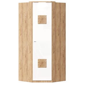 Шкаф угловой 45 с декоративной накладкой Фиджи, 659.248, белый в Абакане - предосмотр