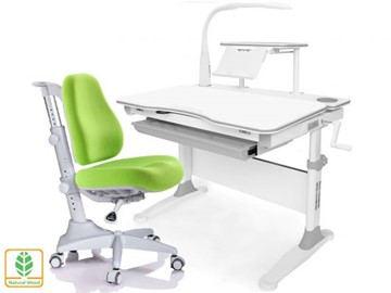 Растущая парта + стул Mealux EVO Evo-30 G (арт. Evo-30 G + Y-528 KZ) (дерево)/(стол+полка+кресло+чехол+лампа)/ белая столешница (дерево), цвет пластика серый в Абакане
