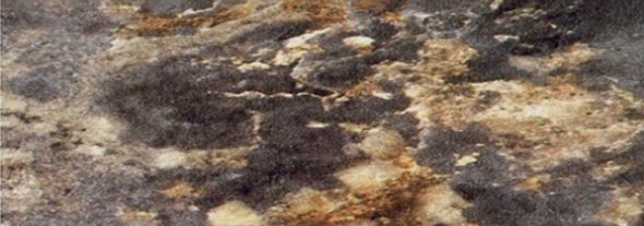 Кухонная столешница 100*60 см Королевский опал темный в Абакане - изображение